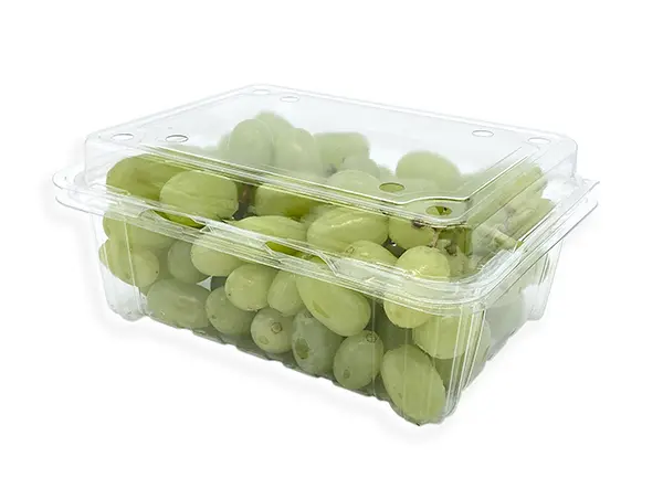CJ-500M1-Grapes_600x433.webp