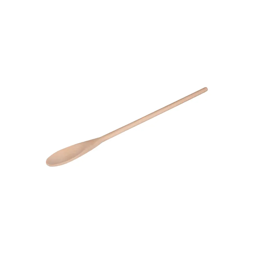 Wooden Spoon 