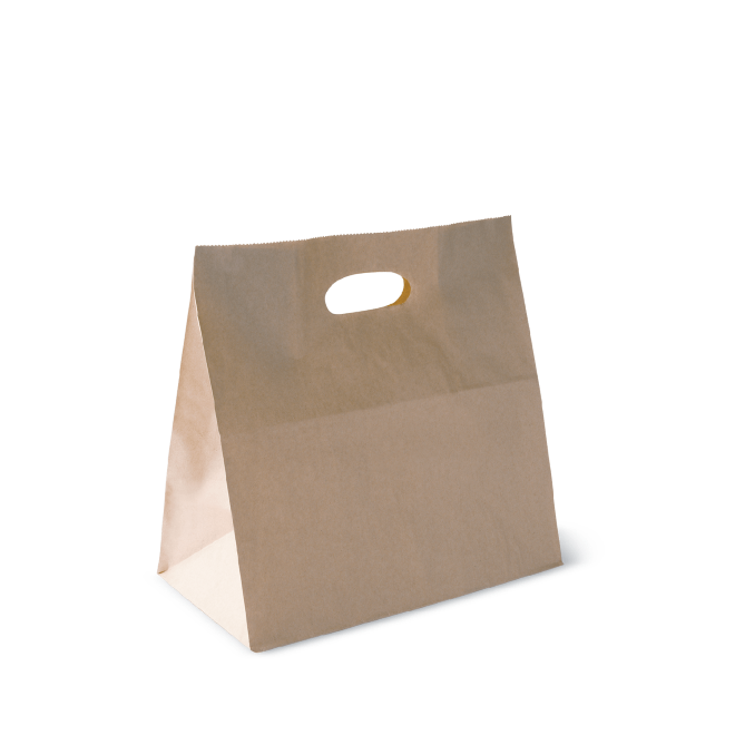 Carry Bag Kraft Die Cut Paper Medium
