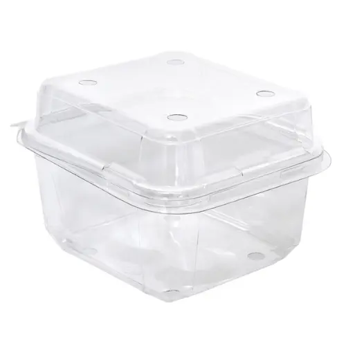 250g Produce Clamshell Container