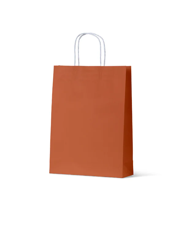 Carry Bag Earth Collection Burnt Orange Paper Large 