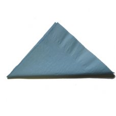 [E-370438] Napkin Lunch 2 Ply - Light Blue