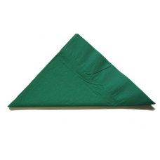 [E-370465] Napkin Lunch 2 Ply - Dark Green