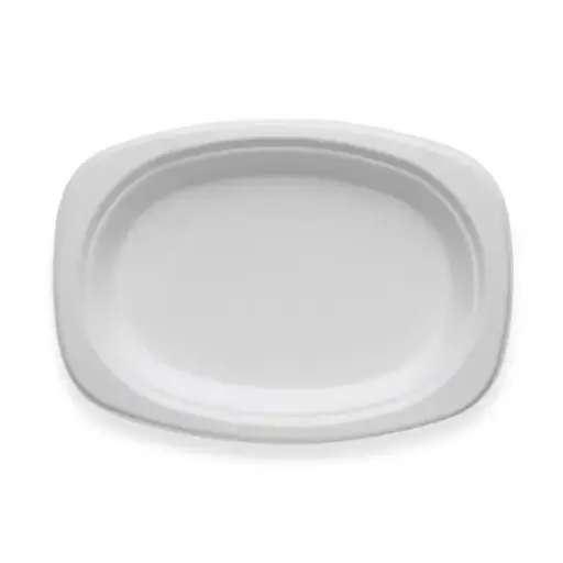 [B-PLATEENOVALS] Sugarcane Rectangular Oval Plate 9.2" x 6.5"