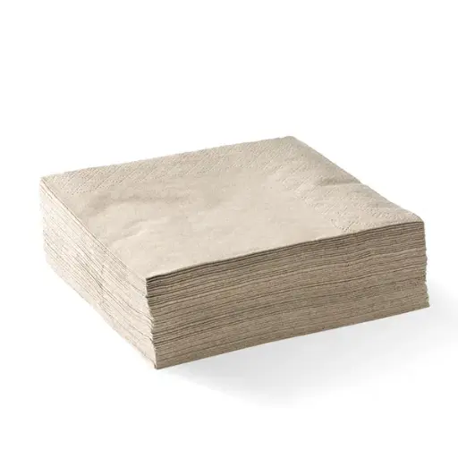 [E-NAPBIODN] Napkin Dinner 2 Ply - Natural 