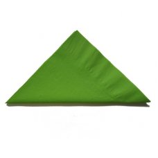 [E-380122] Napkin Lunch 2 Ply - Lime